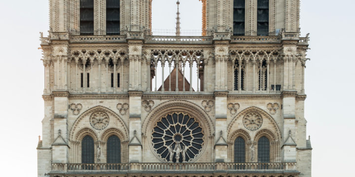Zorganizowana aktywność w środowisku Katedra Notre Dame