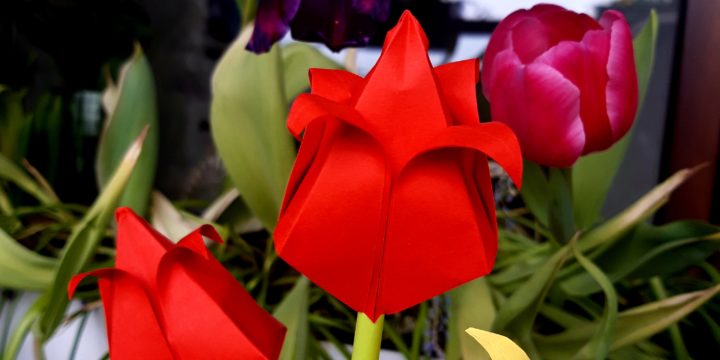 Pracownia rękodzielnicza Tulipany